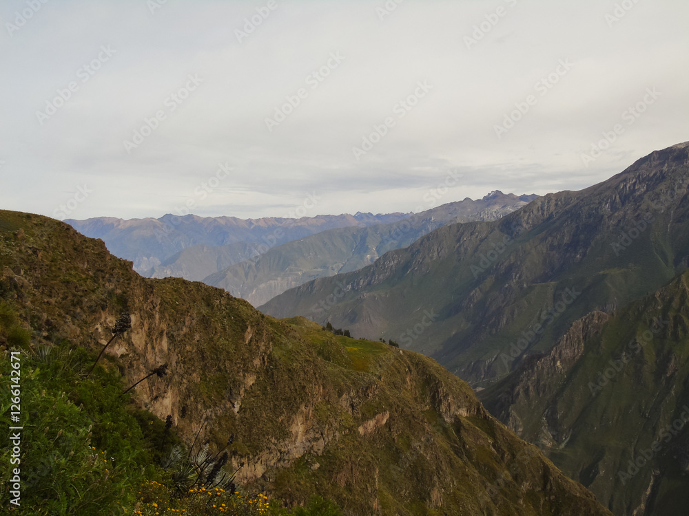 Colca Canyon in Peru surrounded by Andes mountains Colca Canyon in Peru surrounded by Andes mountains