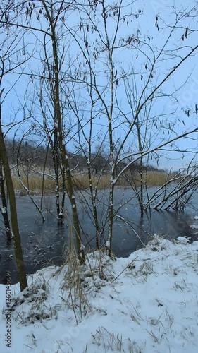 Frozen lake in the woodalnds at winter evening , snow covered trees , trees grew up through the water. Ice on water. Winter video landscapes