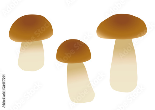 ポルチーニ茸のイラストセット3