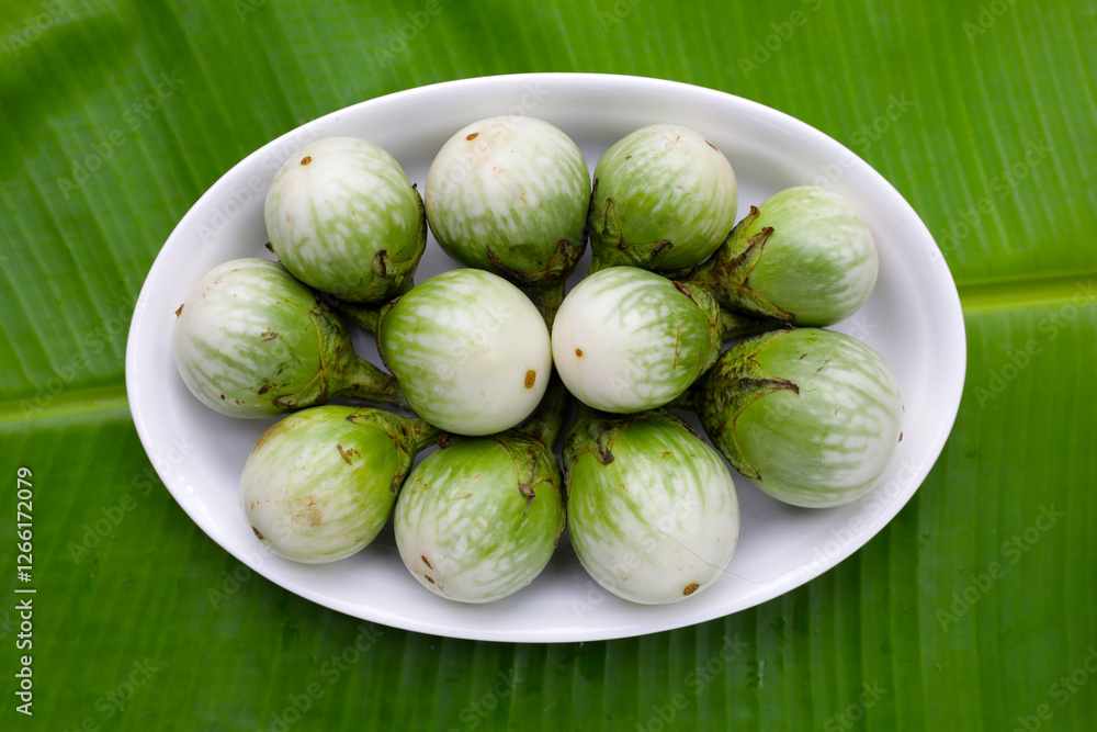 Thai green eggplant, fresh organic vegetables Thai green eggplant, fresh organic vegetables