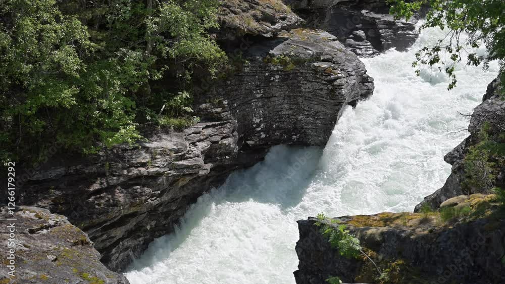 Whitewater Rush Flows Over Rocky Terrain in a Tranquil Natural Setting Whitewater Rush Flows Over Rocky Terrain in a Tranquil Natural Setting