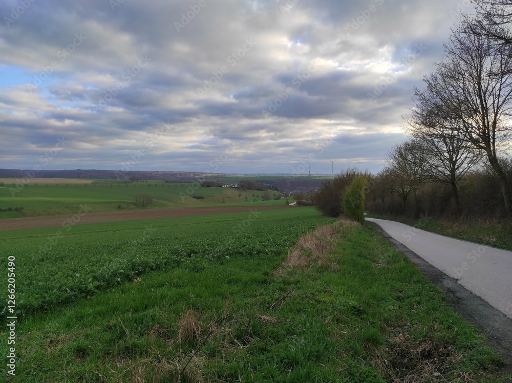 Obraz premium Landscape with field and road