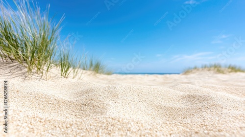 Wallpaper Mural Beach sand dune grass summer ocean Torontodigital.ca