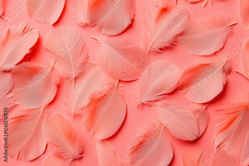 Wallpaper Mural Delicate pink feathers create a beautiful and calming monochromatic background Torontodigital.ca