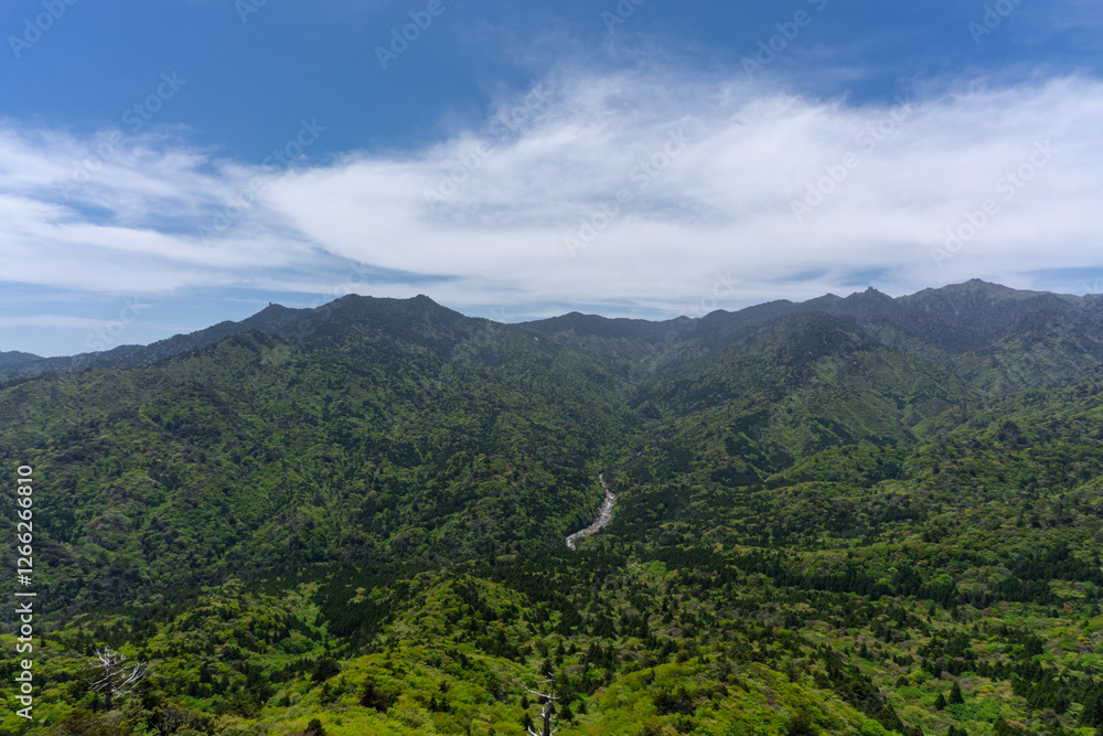Fototapeta premium 屋久島の白谷雲水峡の太鼓岩からの光景