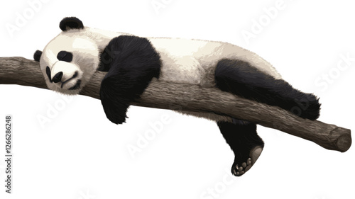 Sleeping Panda Illustration