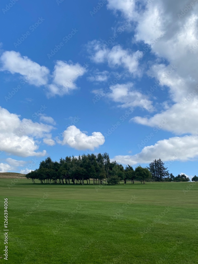 golf course with blue sky and clouds golf course with blue sky and clouds