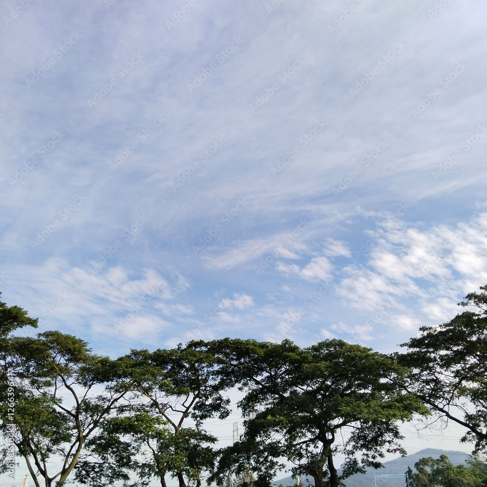 clouds and trees clouds and trees