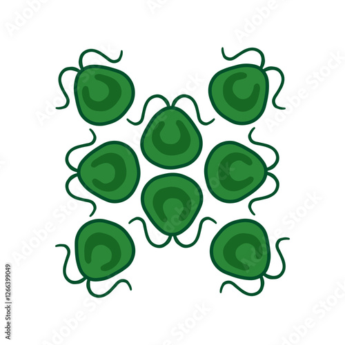 Gonium