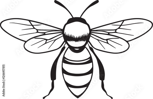 Hand drawn sketch of bee isolated, Black and White Cartoon Vector Illustration for Coloring Book or design poster