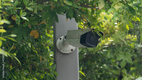 Photos Hiden of CCTV cemera install on the pole