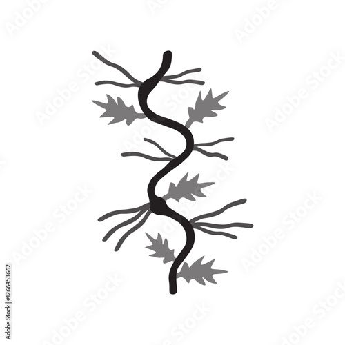 Adventitious Roots
