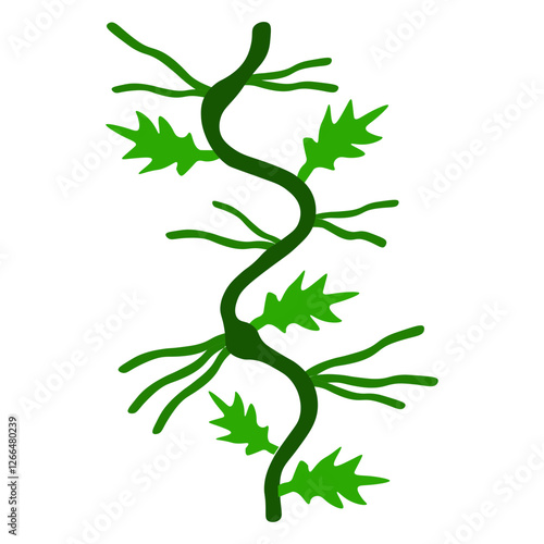 Adventitious Roots