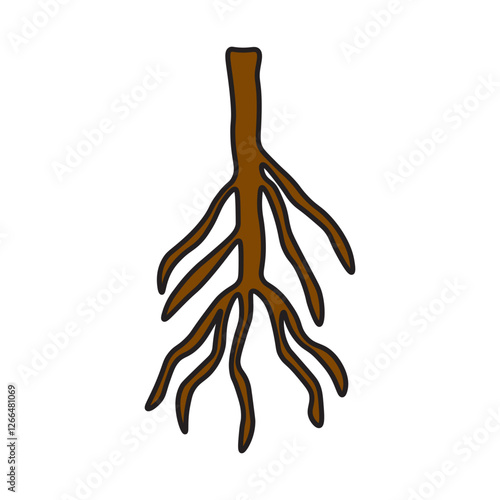 Taproot