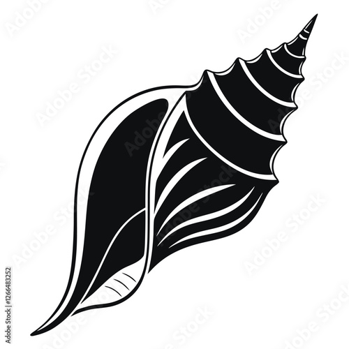 vector illustration of a snail shell, vector illustration of seashell