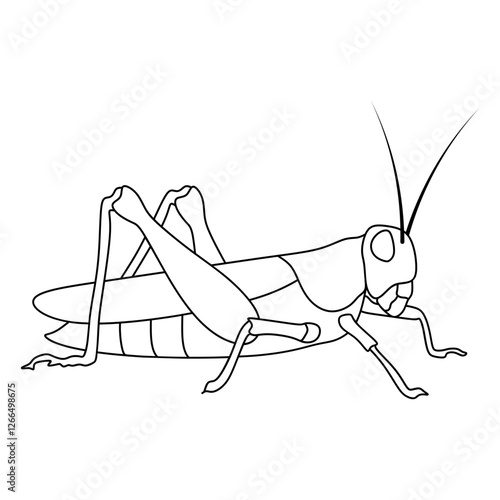 locust