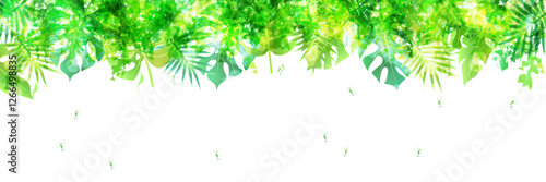 ヤシ　観葉植物　南国　背景