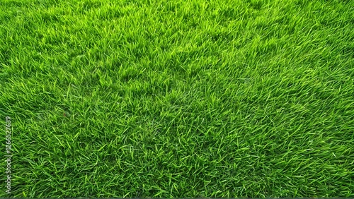 Wallpaper Mural Lush Green Grass Field Texture - Vibrant Nature Background View Torontodigital.ca