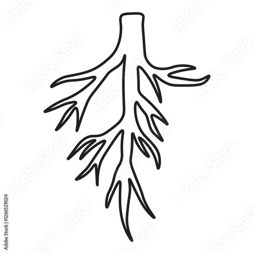 Taproot line icon