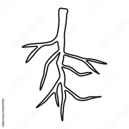 Taproot line icon