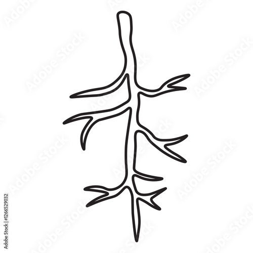 Taproot line icon