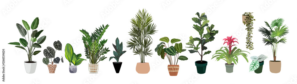 Obraz premium Indoor plants vector illustrations set. Realistic house plants in hand made pots. Exotic flowers with stems and leaves. Ficus, bromeliad, alocasia, palms isolated botanical design on white background.