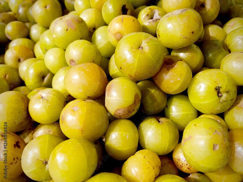 Beautiful fresh green Indian gooseberry or amla is full of vitamin Beautiful fresh green Indian gooseberry or amla is full of vitamin