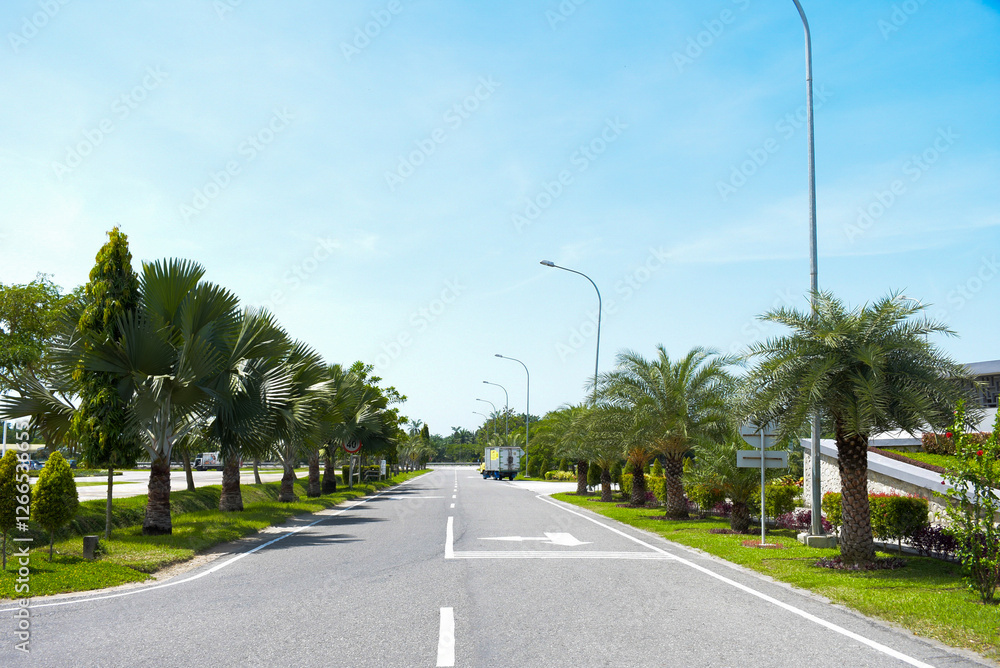 Tropical road lined with lush palm trees, bright greenery, and streetlights under a clear blue sky at Kualanamu International Airport office area. Tropical road lined with lush palm trees, bright greenery, and streetlights under a clear blue sky at Kualanamu International Airport office area.