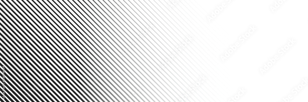 Obraz premium Abstract white background from lines. Wavy line drawing . Design element. Vector illustration .