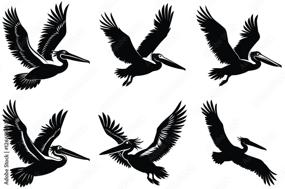 Fototapeta premium Pelican bird silhouettes, Flying pelican flight silhouette vector set