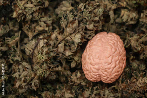 Cuadro en lienzo Brain seen from above on a background of cannabis grass