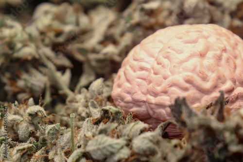 Cuadro en lienzo Close-up of brain with drug in the background