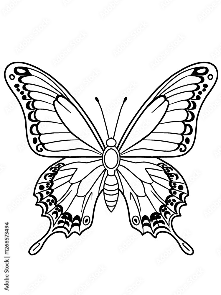 butterfly black and white animal coloring book butterfly black and white animal coloring book