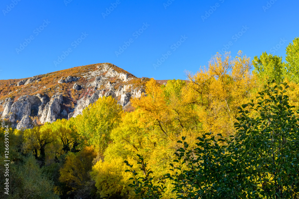 autumn landscape in the mountains