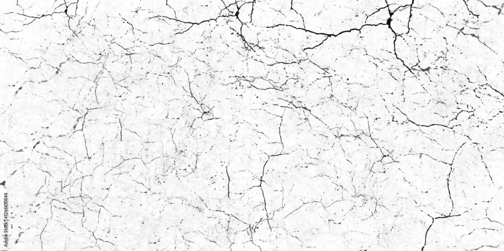 Fototapeta premium White background on cement floor texture.old vintage grunge texture design vintage image style.