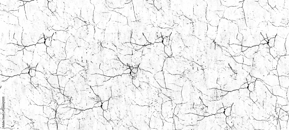 Fototapeta premium White background on cement floor crack texture.old vintage grunge texture design vintage image style.