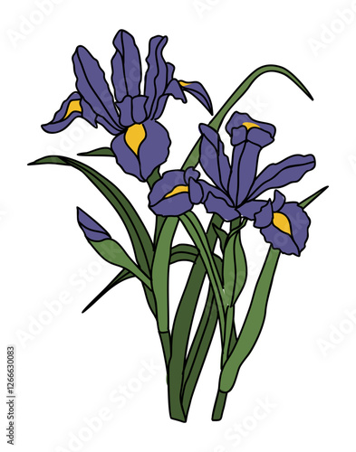 Iris February birth month flower colorful vector illustration. Modern minimalist hand drawn design for logo, tattoo, packaging, card, wall art, poster. Colored line art isolated on white background