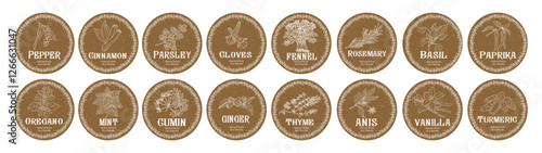 Vector set of spices food labels with herbs sketches: pepper, basil, paprika, oregano, rosemary and parsley. Packaging and labeling template. Organic, natural flavor, eco friendly, kitchen herbs 