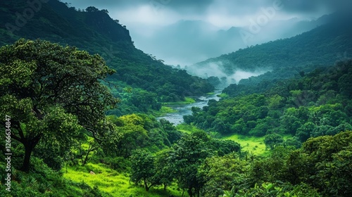 Lush Greenery of Karnataka's Majestic Hills