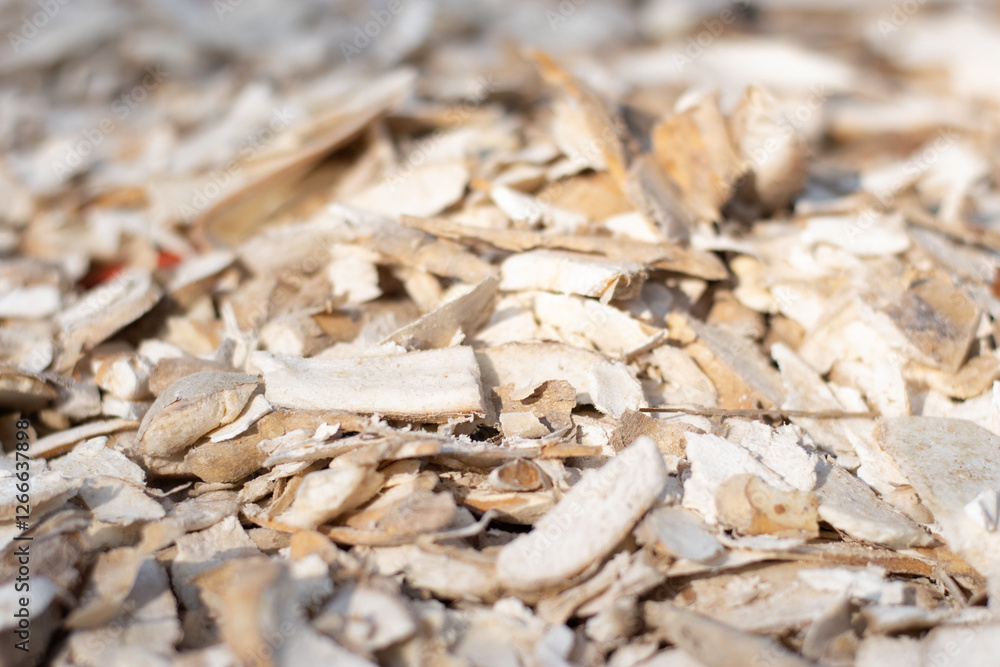 Dried cassava, dried cassava before selling Dried cassava, dried cassava before selling