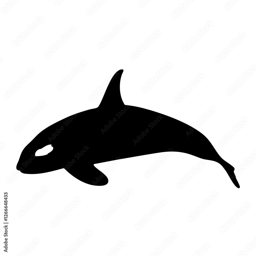 Fototapeta premium dolphin isolated on white background