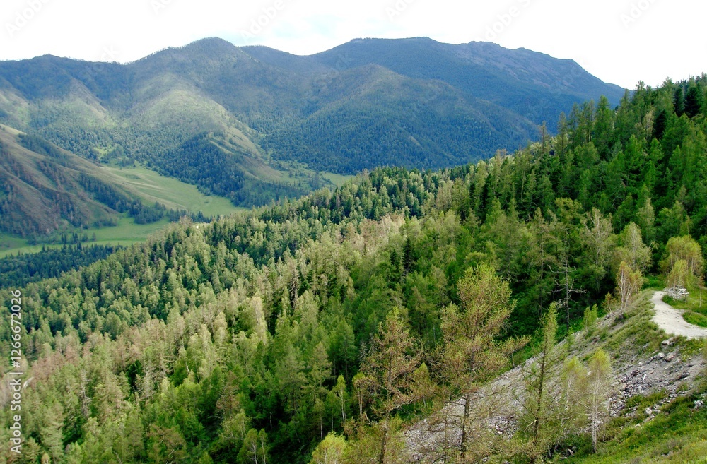 Altai Mountains, Altai Mountain Ranges Altai Mountains, Altai Mountain Ranges