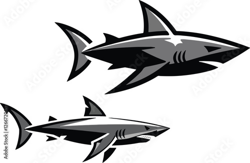 shark vector illustration
