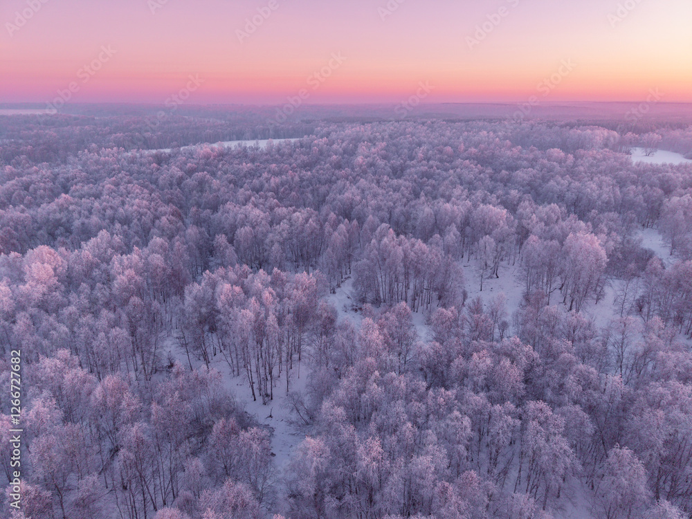 Serene winter landscape with snow-covered forest under a pink twilight sky Serene winter landscape with snow-covered forest under a pink twilight sky
