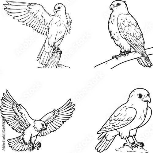 set of hawk silhouette line art vector