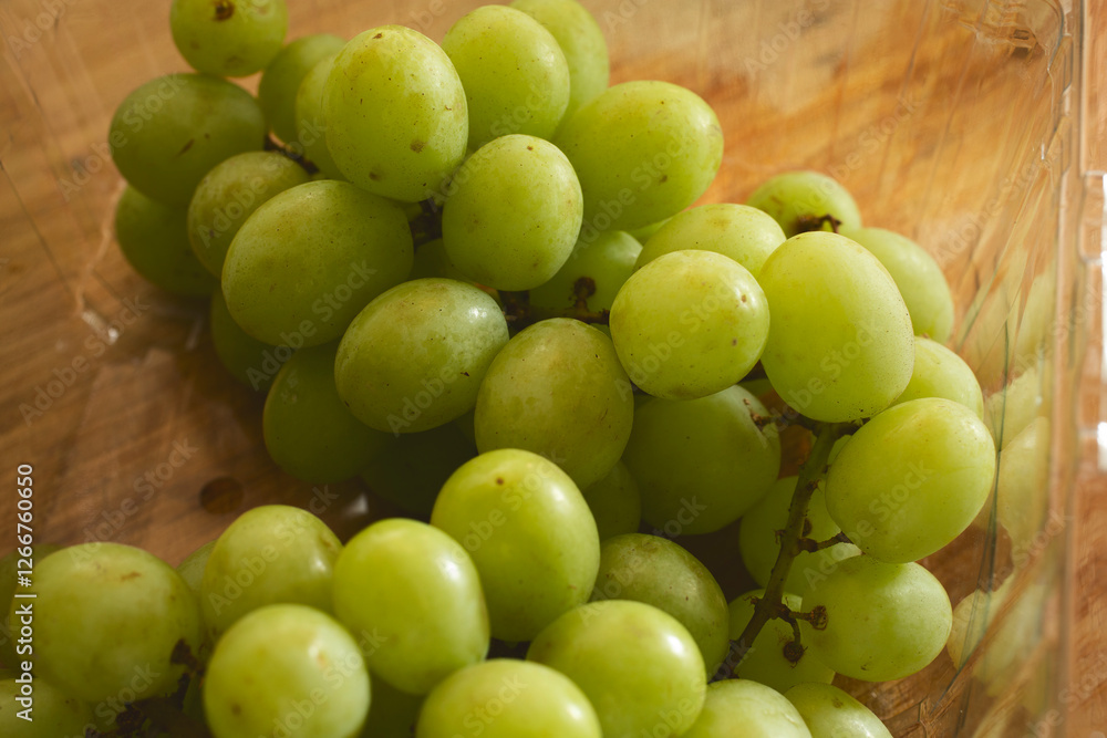 A view of a cluster of green table grapes. A view of a cluster of green table grapes.