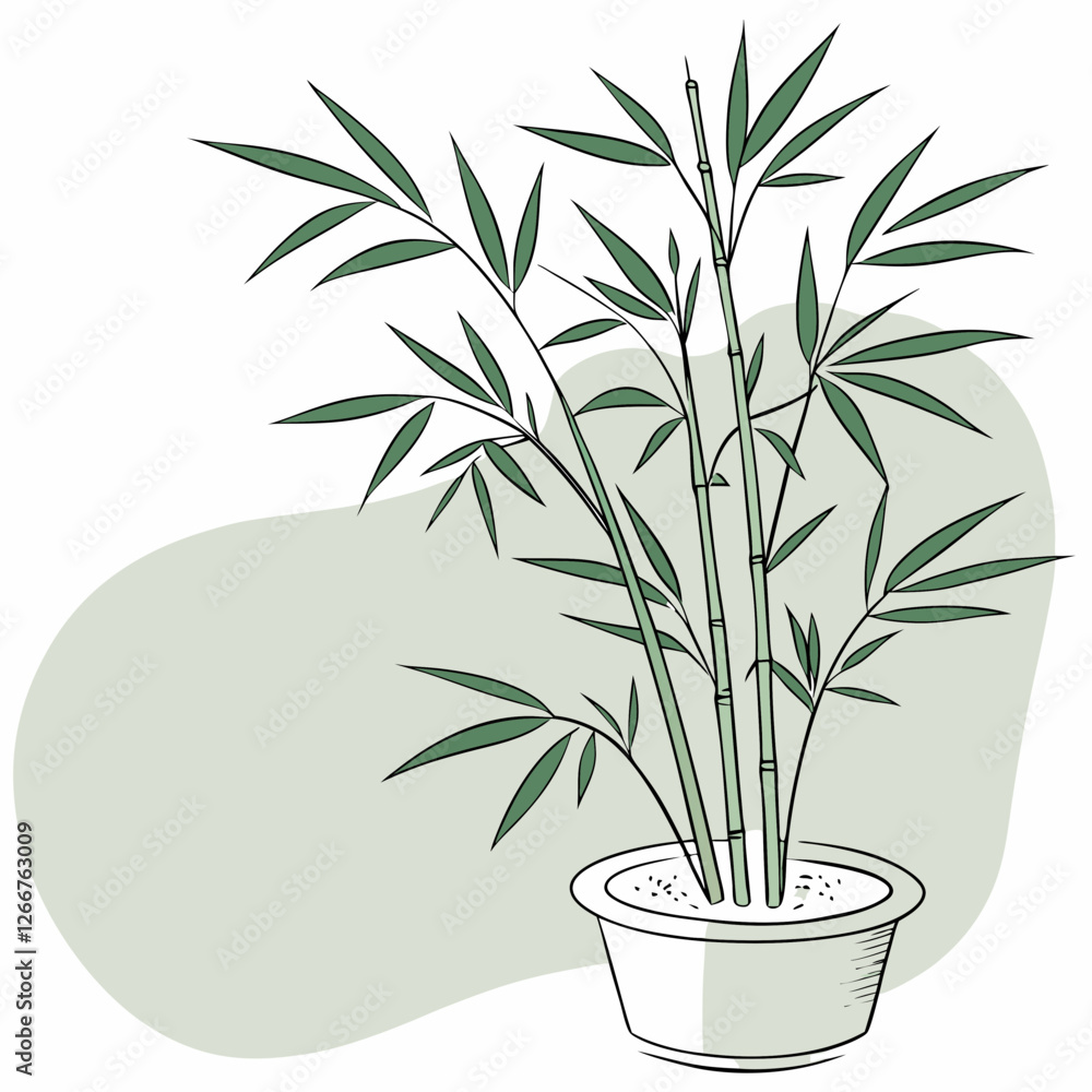 Fototapeta premium green bamboo plant in pot vector illustration