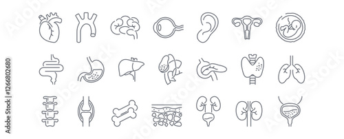 Human anatomy line icons set. Stomach, spine, joint, heart, embryo, bile, lung, dermis, heart, bone, vessels, liver, brain, eye, ear, thyroid gland, kidneys vector illustration