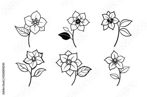 Hellebore (Helleborus spp.) line art vector illustration