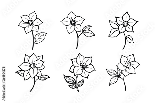 Hellebore (Helleborus spp.) line art vector illustration